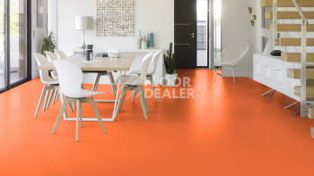 Gerflor Colorette 0170 Kumquat Orange фото 2 | FLOORDEALER